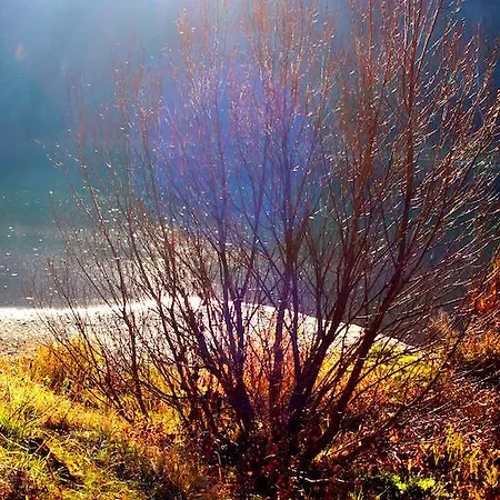 Nasa אכסניה Levoča